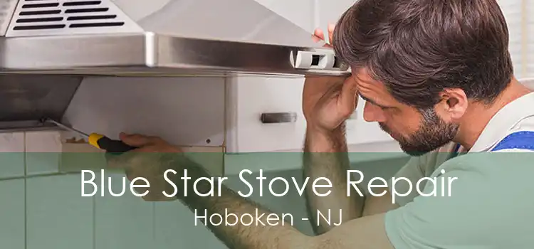 Blue Star Stove Repair Hoboken - NJ