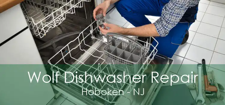 Wolf Dishwasher Repair Hoboken - NJ